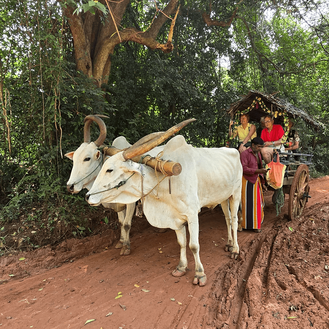 Village Tour